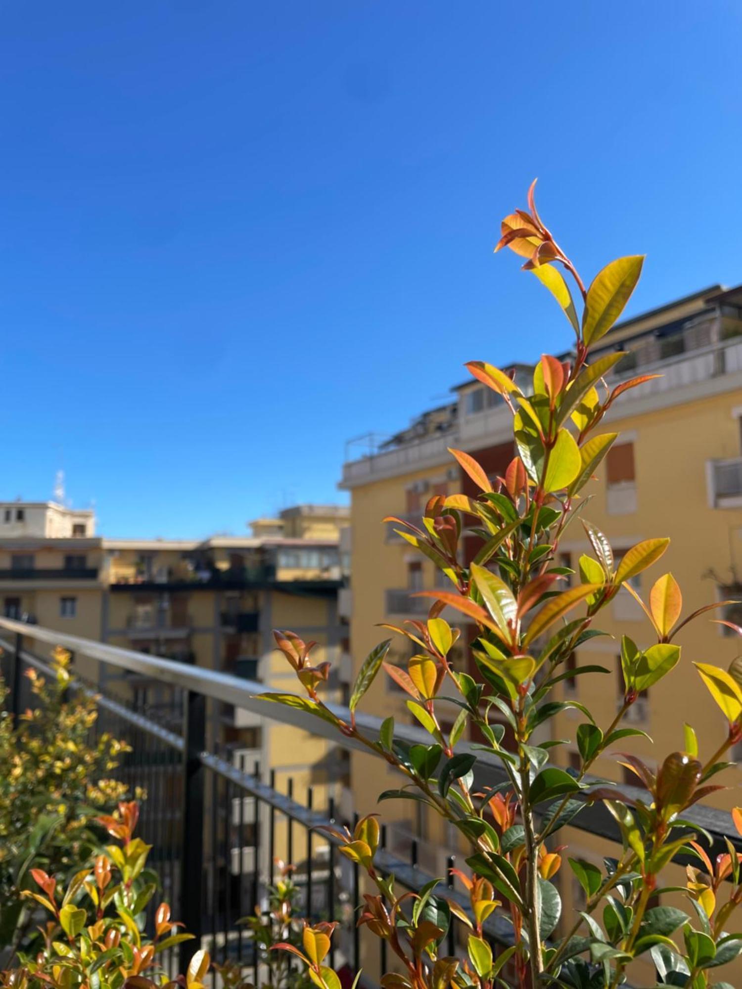 巴勒莫Terrazza L Emiro Casa Vacanze公寓 外观 照片